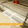 Galvanized Broiler Cage System